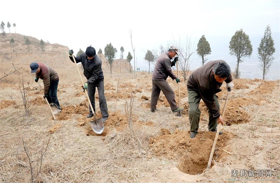 天水成紀新城，與自然美景的邂逅，探尋內(nèi)心平和之旅的最新動態(tài)